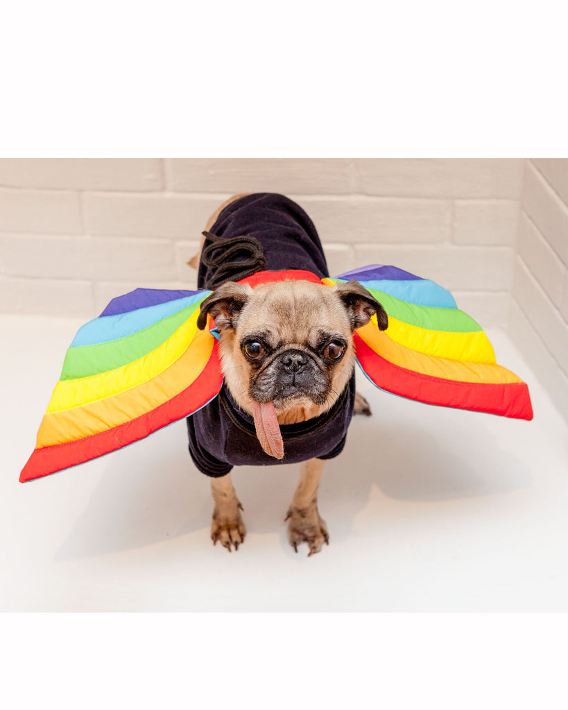 Adjustable Tie-On Rainbow Dog Wings Wear DOGO   