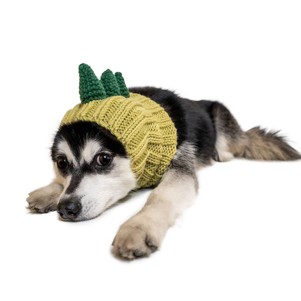 Knit Dinosaur Dog Snood (FINAL SALE) Wear Zoo Snoods   