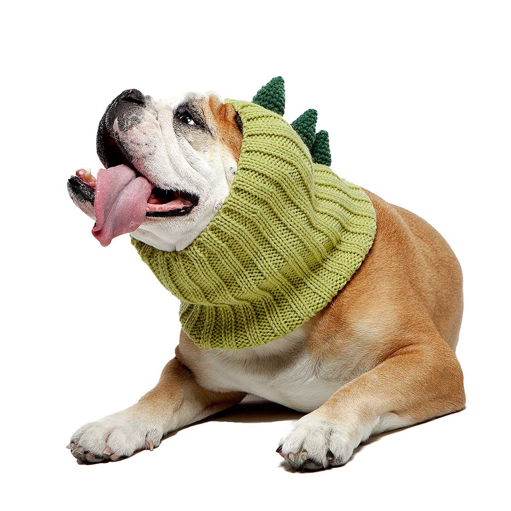Knit Dinosaur Dog Snood (FINAL SALE) Wear Zoo Snoods   
